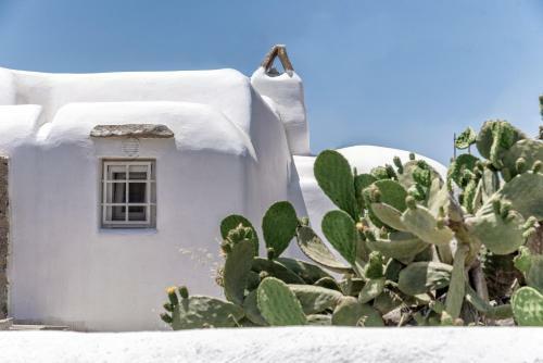 Blue Serenity Villa