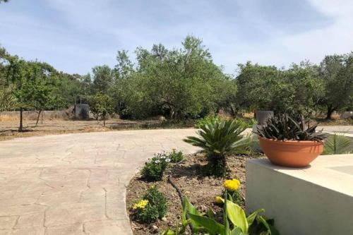 Apartamento Fiore Di Rodi - Private Pool, Jacuzzi And Barbecue