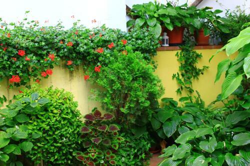 Hostal Escart�n