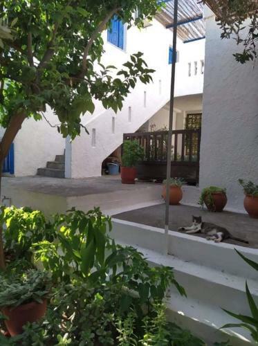 Stamoulis Apartments