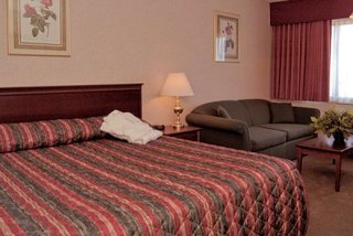 Hotel Sandmanedmonton West