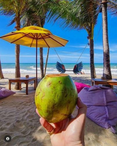 Hotel Pousada Jandadas & Lounge Cumbuco
