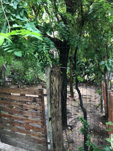 Apartamento Morada Da Biquinha - Morro De S�o Paulo
