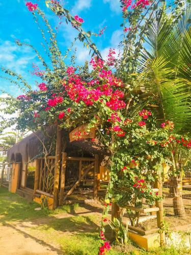 Apartamento Pousada Dos Cardeais
