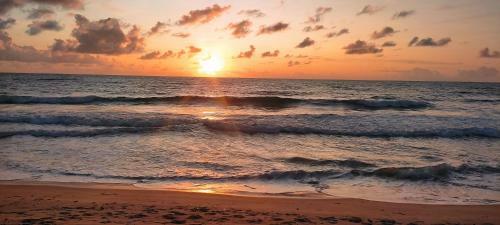 Bed & Breakfast Wood Beach House Taipu De Fora