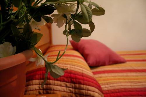 Hostal Ram�n Y Cajal