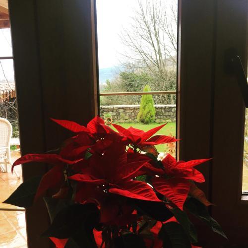 Bed & Breakfast Posada De Villacarriedo