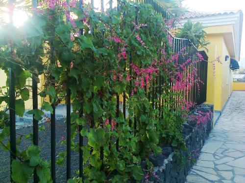 Apartamentos Villa Mar�a