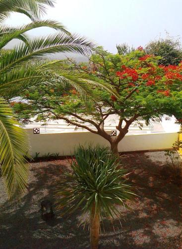 Apartamentos Villa Mar�a