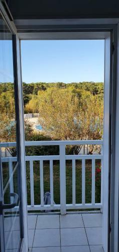Vacances Entre Foret Dune Et Plage