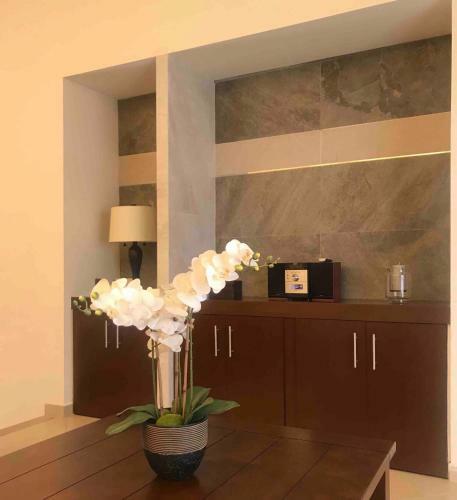 Casa Ejecutiva Excelente Ubicaci�n Moderna Acogedora Y Amplia