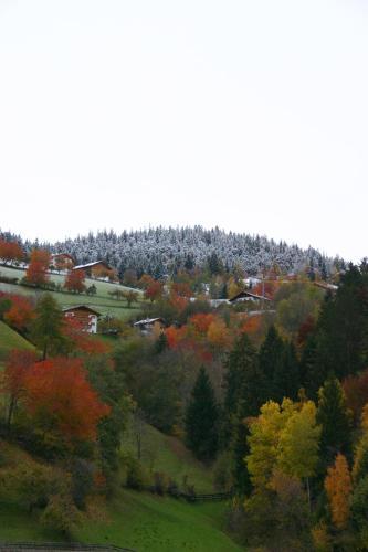 Hotel Panoramapension Etschblick