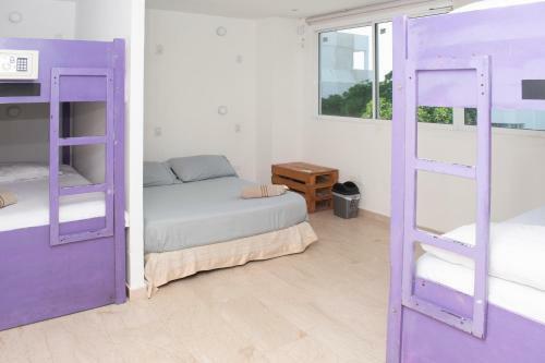 Apartamento Bike And Dive House