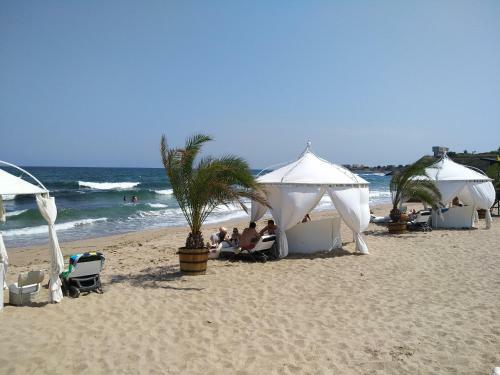Apartamento Oasis Resort&spa 1 Floor 1 Bedroom Nat