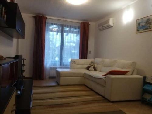Apartamento Oasis Resort&spa 1 Floor 1 Bedroom Nat