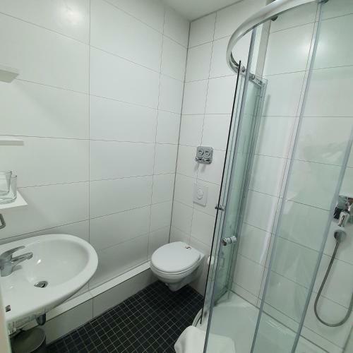 Hostal Pension Bad Soden / Apartment And Rooms