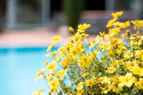 Wellnesshotel Glanzhof