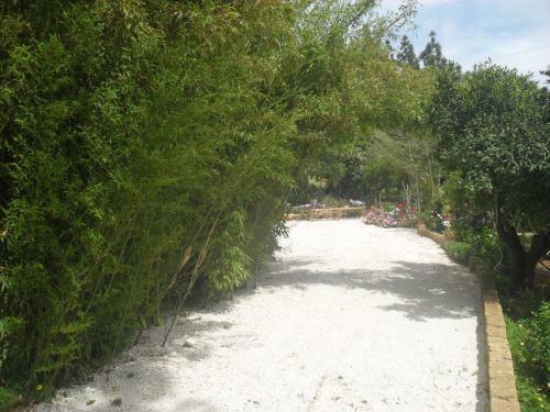 Agroturismo Tenuta Venezia