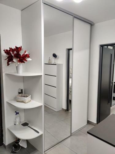 Mdm Apartment