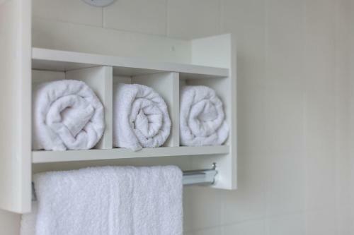 Apartamento Otimo Apto C Wifi E Home Office Barao Geraldo Sp