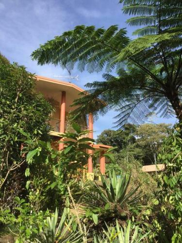 Apartamento Studio In The Rainforest