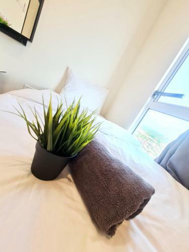 Apartamento Novo 8 Residences By Moment A