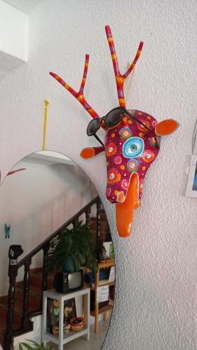 B&B Chile Mexicano