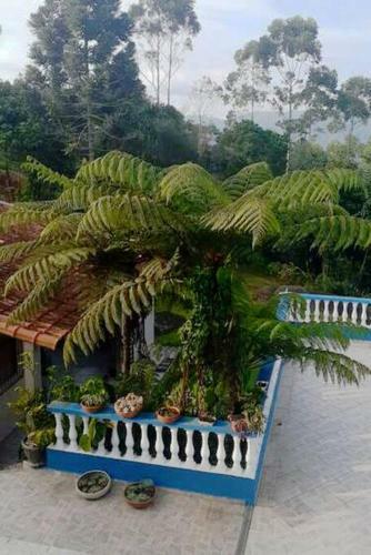 Casa/ch�cara Para Fins De Semana E F�rias