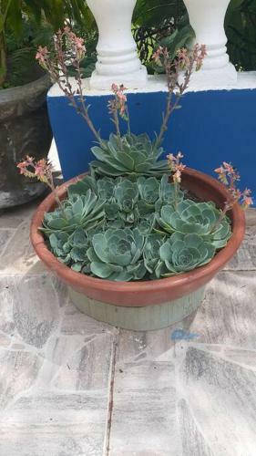 Casa/ch�cara Para Fins De Semana E F�rias