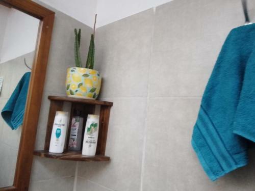 Apartamento Monoambiente En El Campo,a 800 Mts.del Centro
