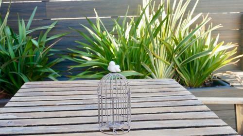 Bird House Apartments