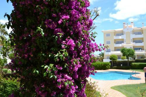 Beach Apartment With Pool In Porto De Mos, Lagos
