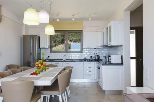 Fotinari Livadia Villa With Exclusive Sea View