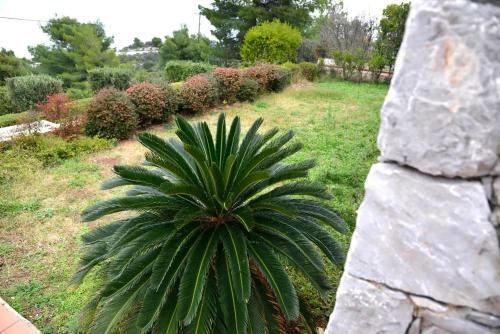 Villa Vila Amalia