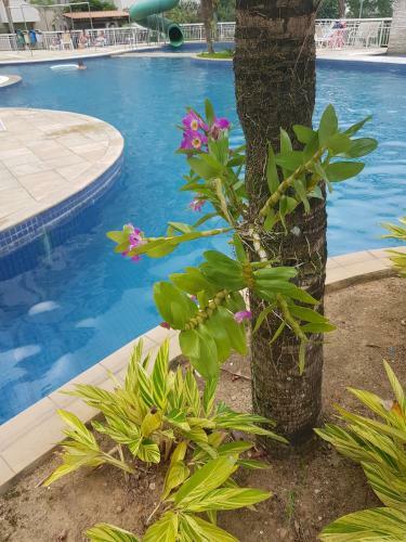 Apartamento Riocentro Barra Da Tijuca Praia