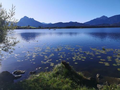 Apartamento Ferienwohnung Mit Blick Auf Den Wei�ensee