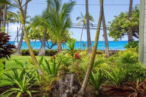 Apartamento Outstanding Oceanfront Studio - Kona Islander Inn Condos Condo