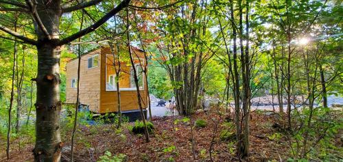 Trailside Stays