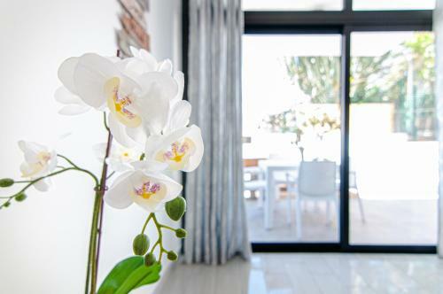 Central 2 Bedroom Apartment Playa De Las Americas