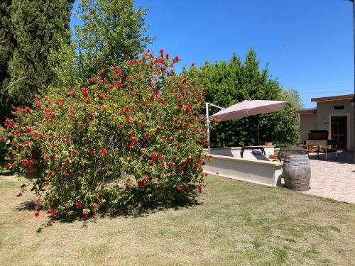 Agroturismo Le Giuncaie - Vigna Con Alloggio