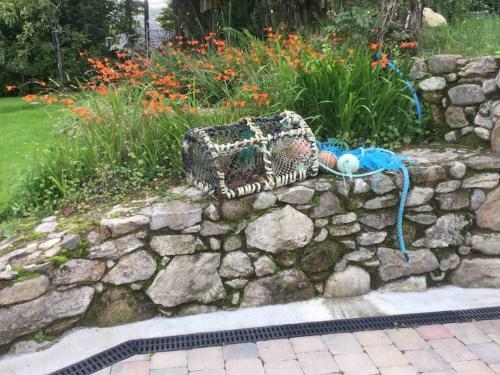 Apartamento An Both�n-cosy Cottage In The Cooley Mountains