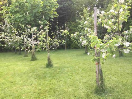 Apartamento An Both�n-cosy Cottage In The Cooley Mountains