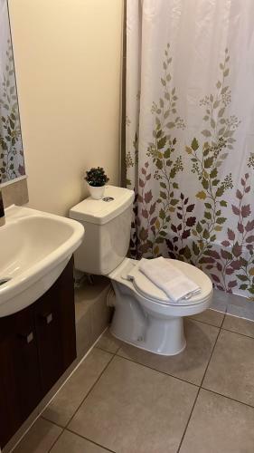 Apartamento Departamento Amoblado