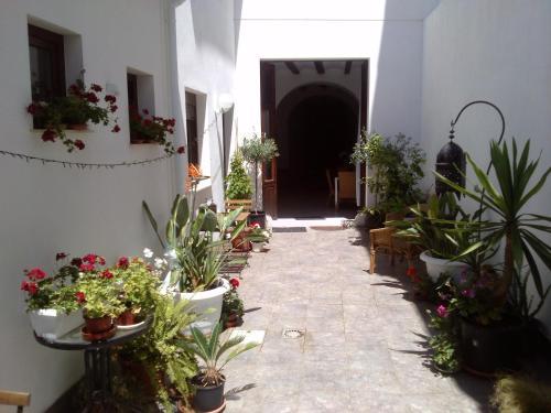 Bed & Breakfast Casa Pego Guest House