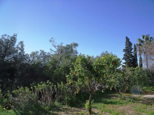 Holiday Home Centauro J�vea