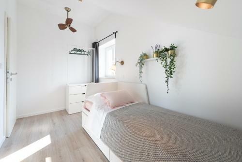 Divine Apartment