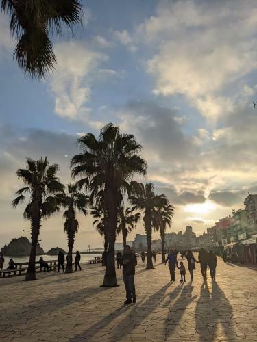 Apartamento Blanes Playa