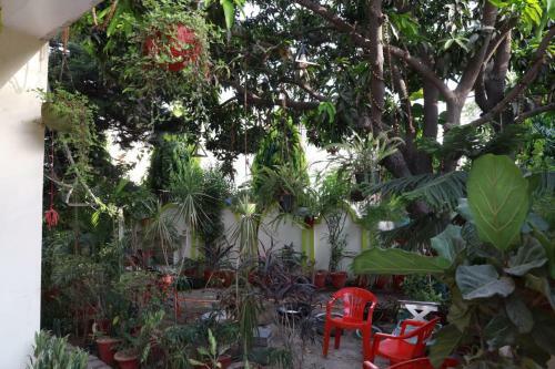 Lovely Homestay