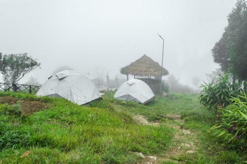 Lasaya Farmstay