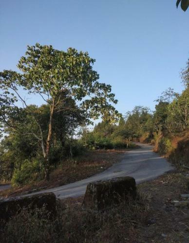 Lasaya Farmstay